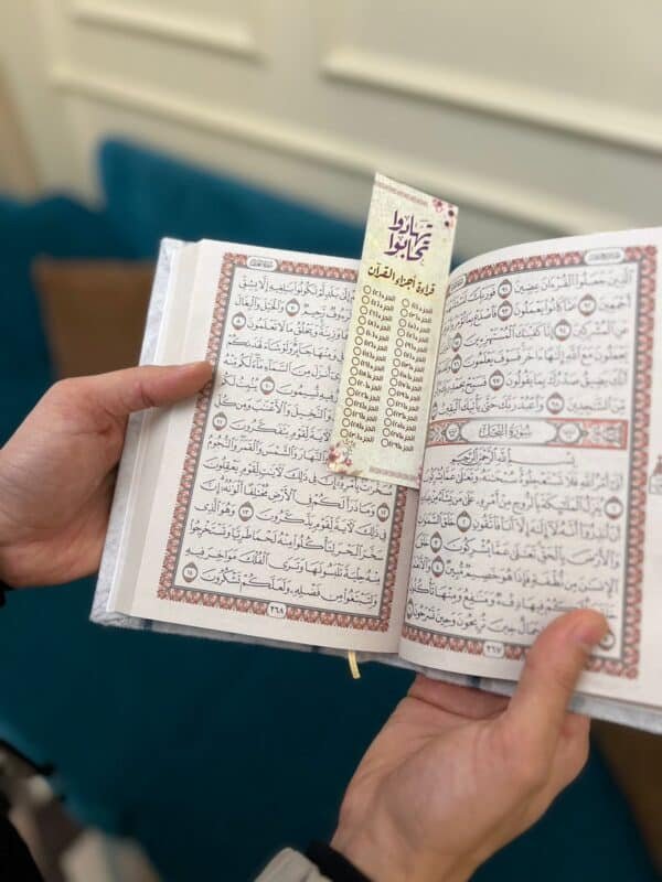 ⁦بوكس تهادوا تحابوا⁩ - الصورة ⁦5⁩